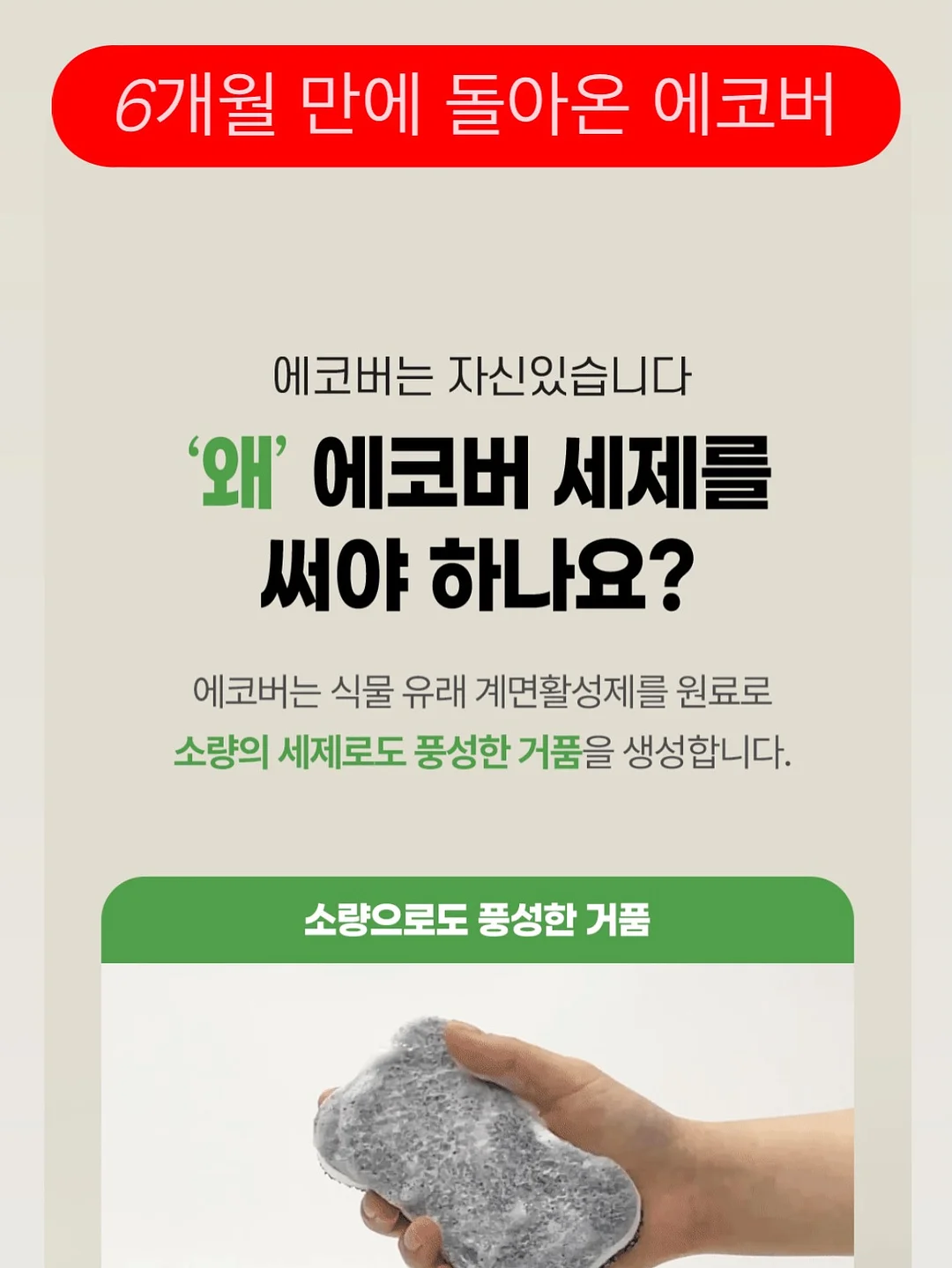 바바디토 건조기시트 4