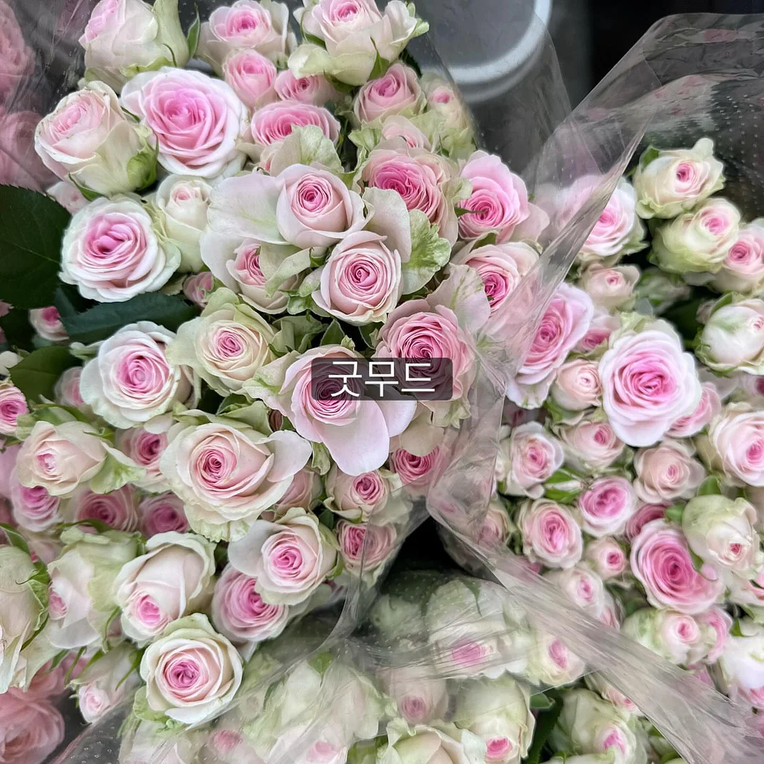 진주 액세서리 4
