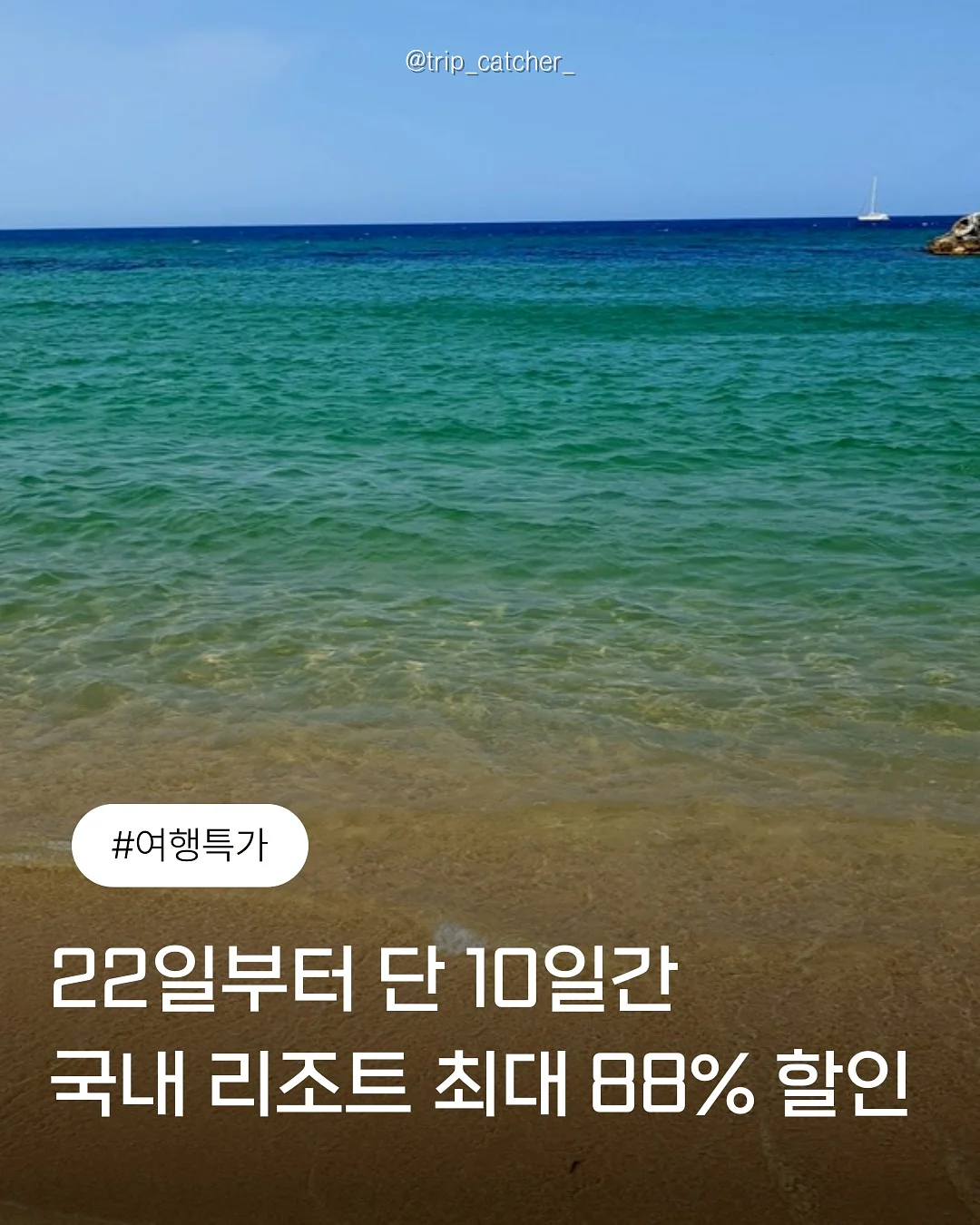 쪼리