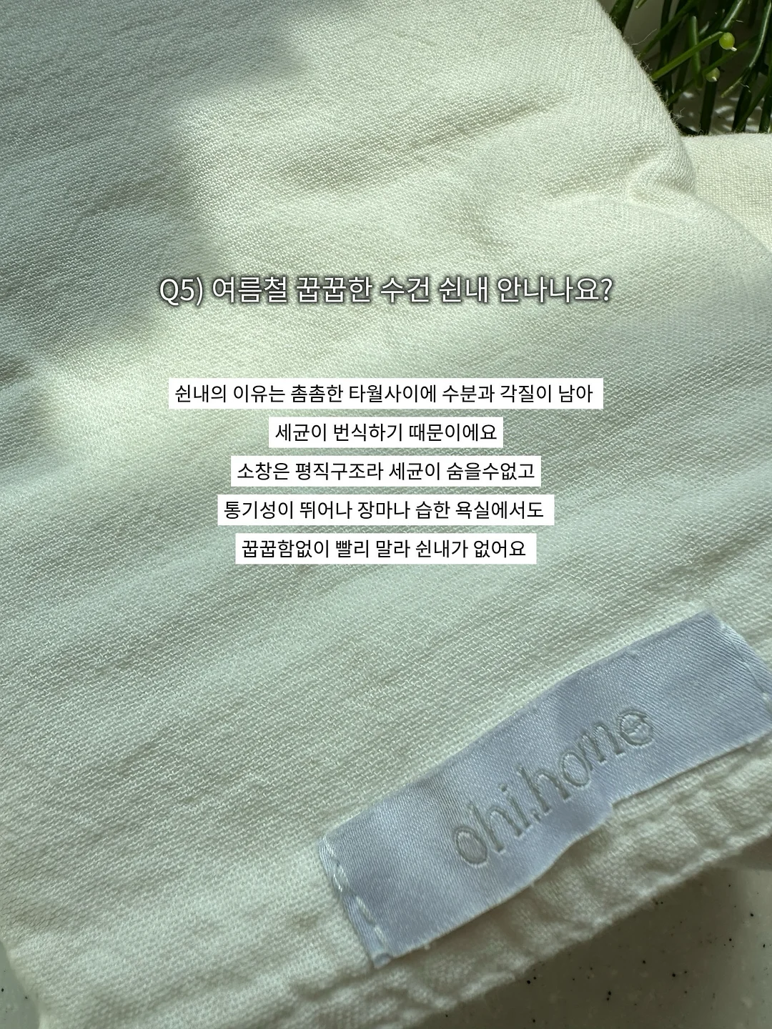 흑임자 간식 6