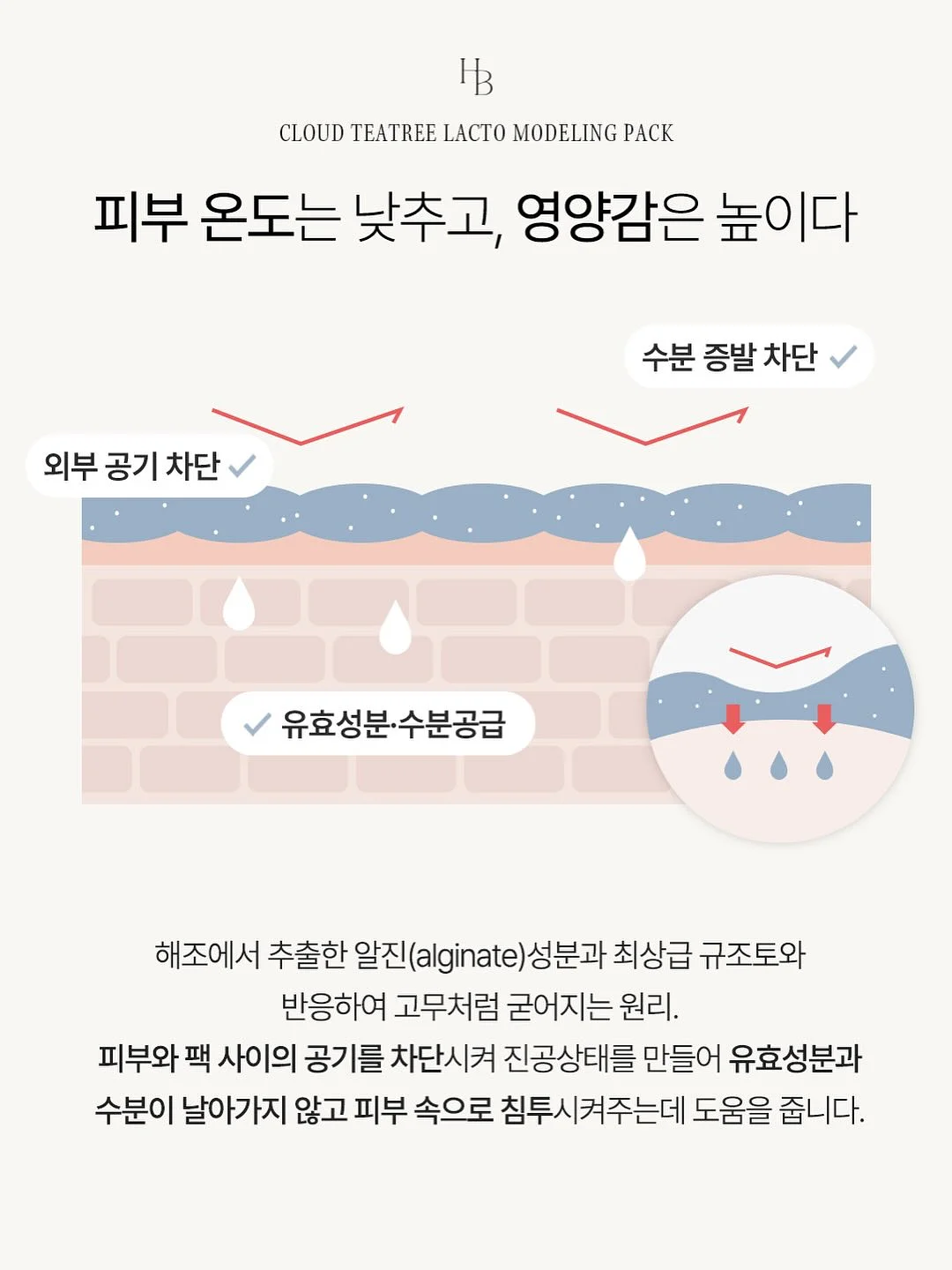 단백질 식단표 19