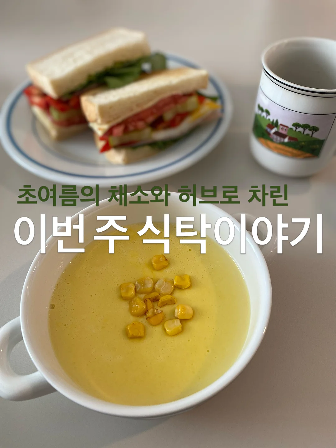 애나프린세스 고무줄 1