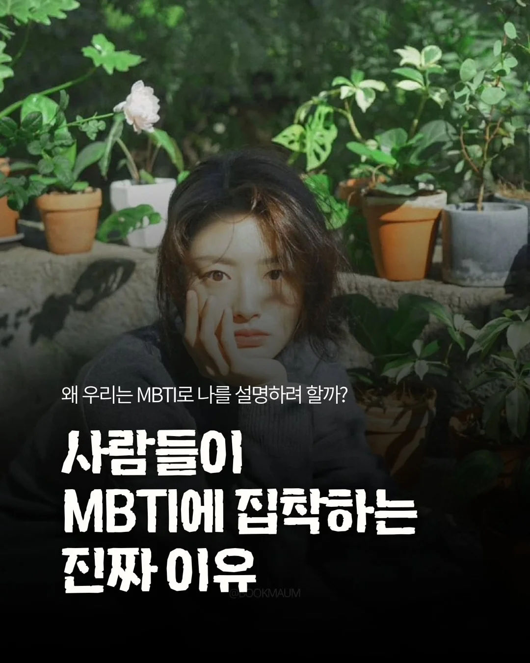 파김치 1
