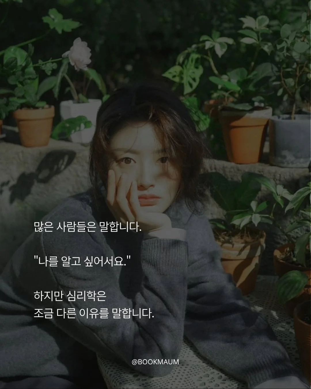 파김치 3