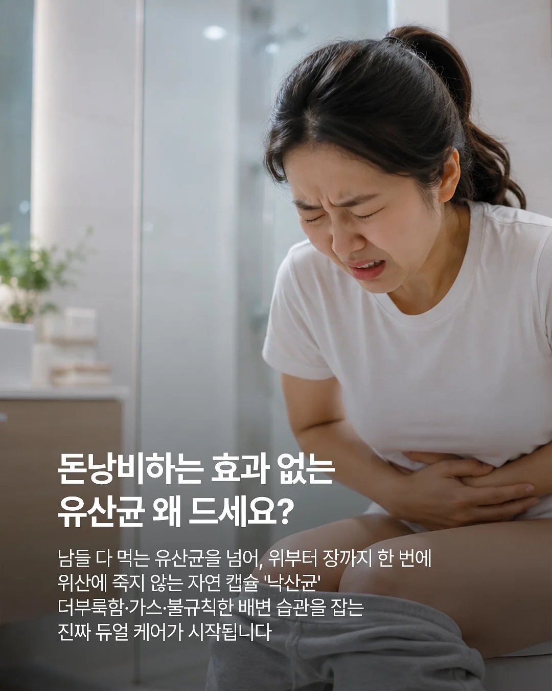 고양이 감마지 5