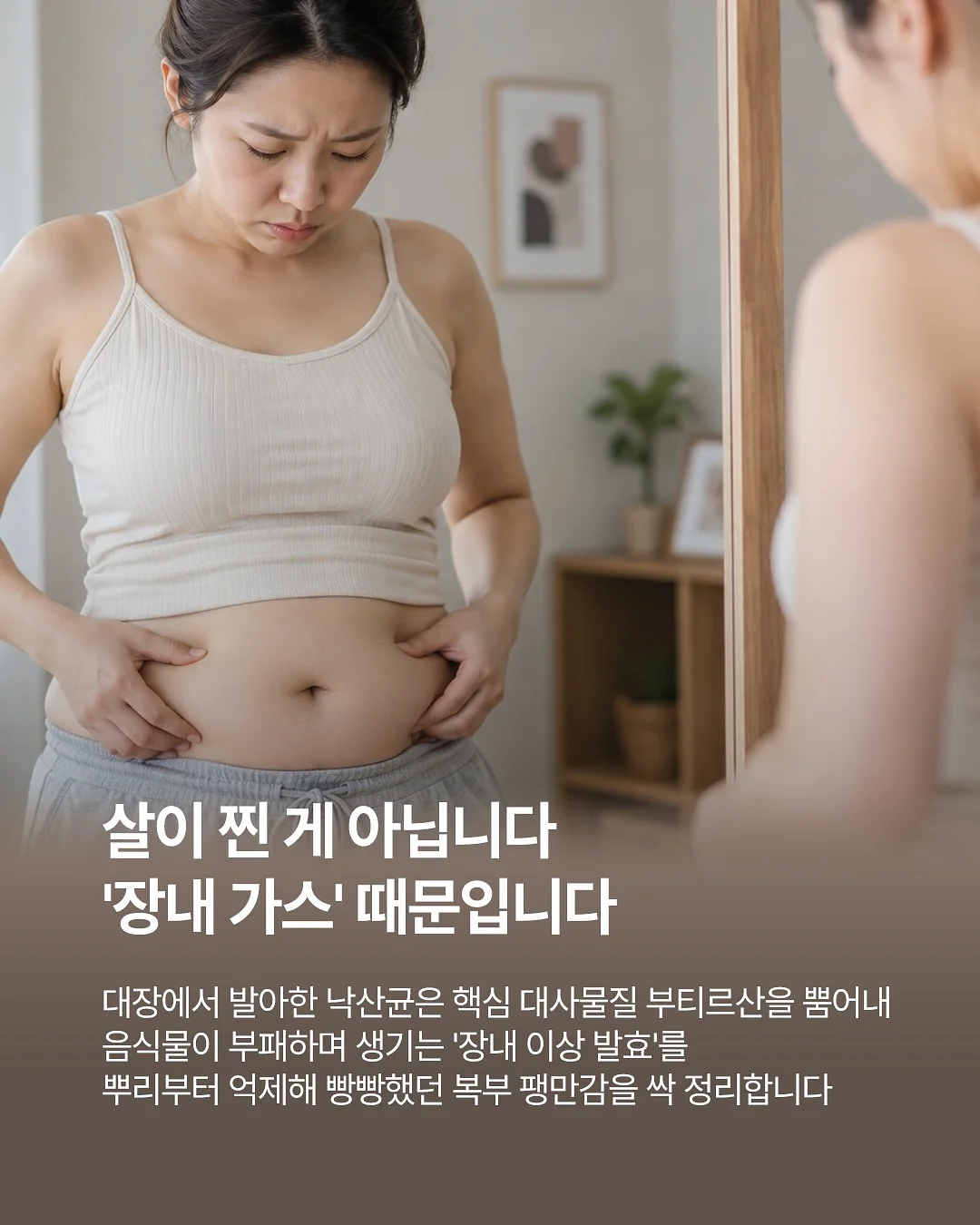 고양이 감마지 6