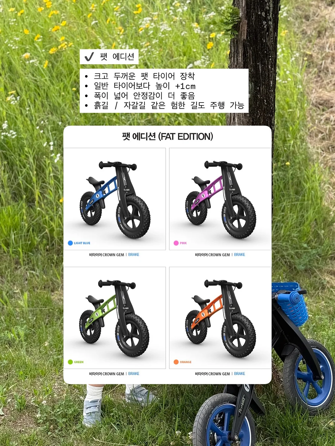 비글로어 글로우컷 리세린지 12