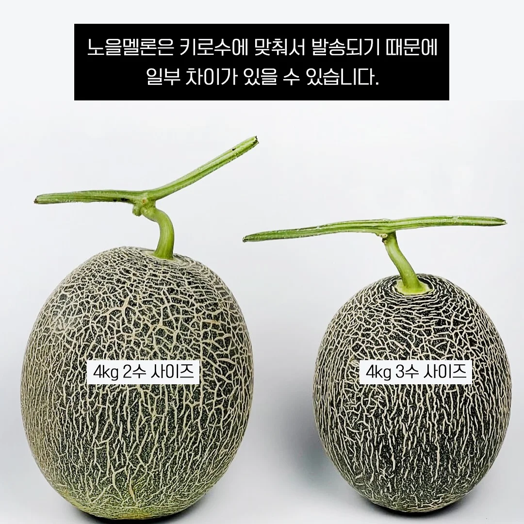 차량용 프라이빗 탈의실 8