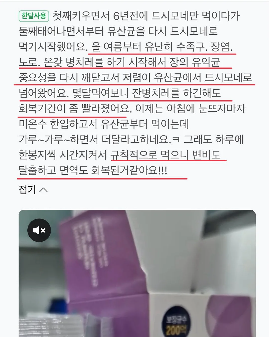 꽃송편케이크 블루베리설기 16