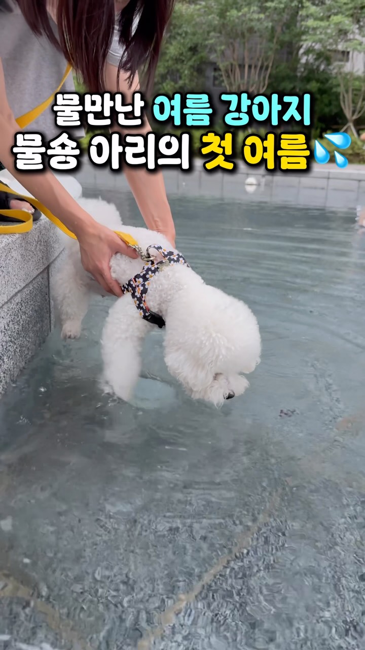 온담 순살게장