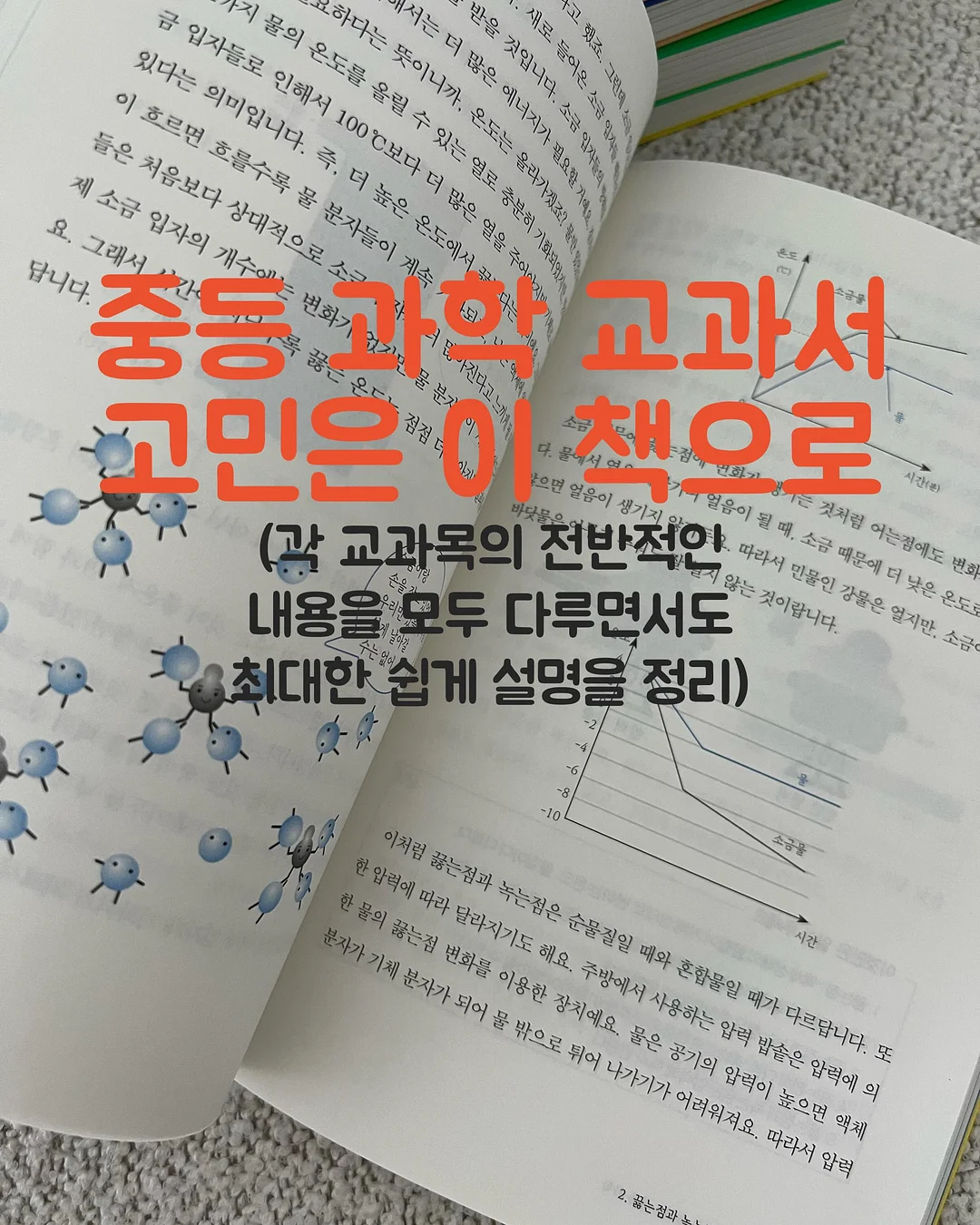 소고기 큐브 1