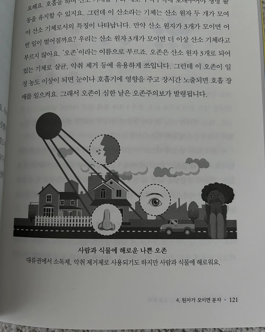 소고기 큐브 4