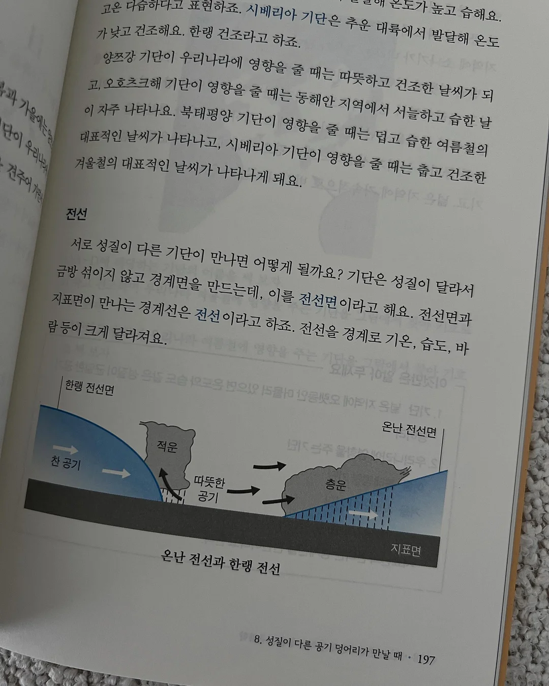 소고기 큐브 8