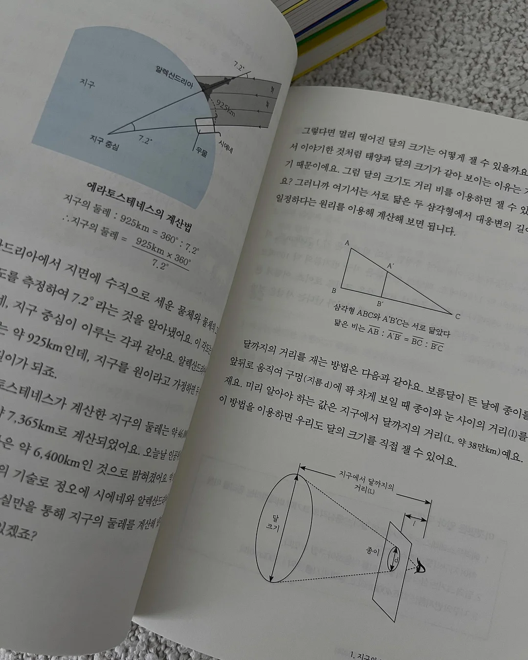 소고기 큐브 10