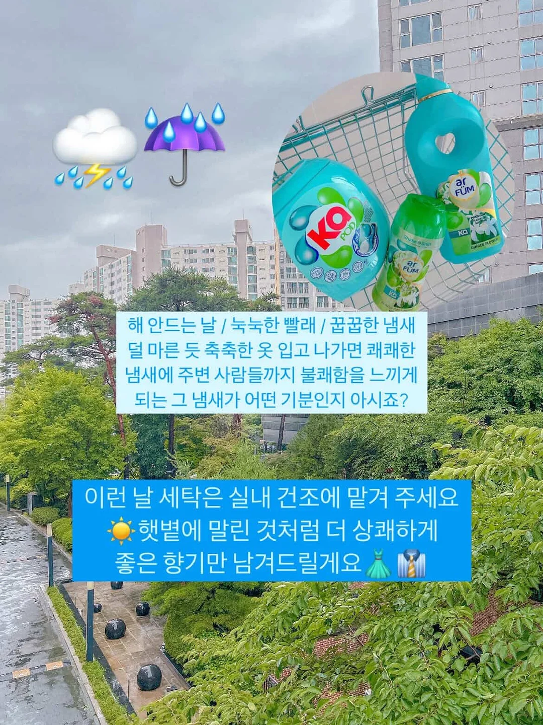 프로틴 웨하스 2