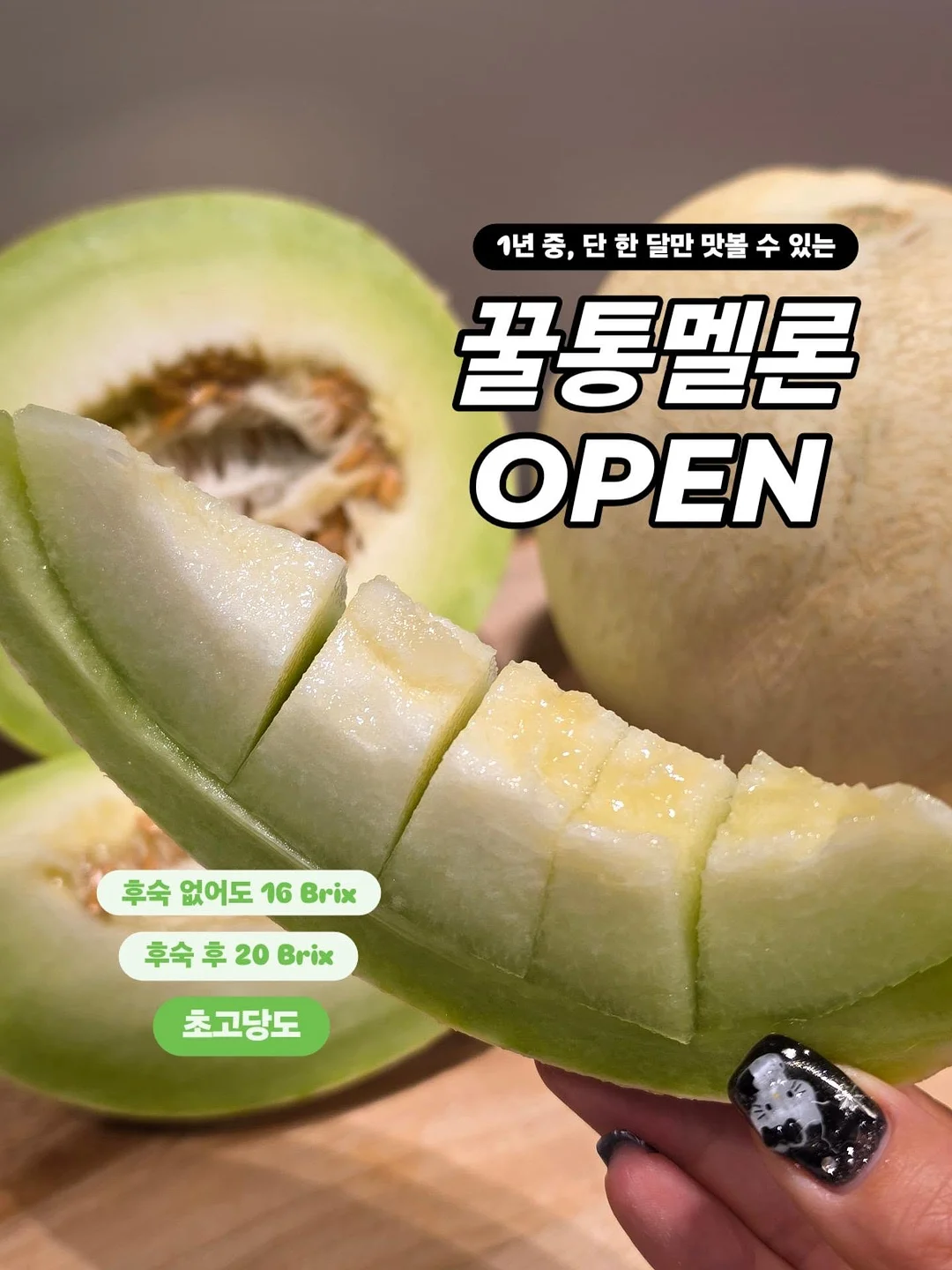 메이플스토리 스탠딩쿠션 1