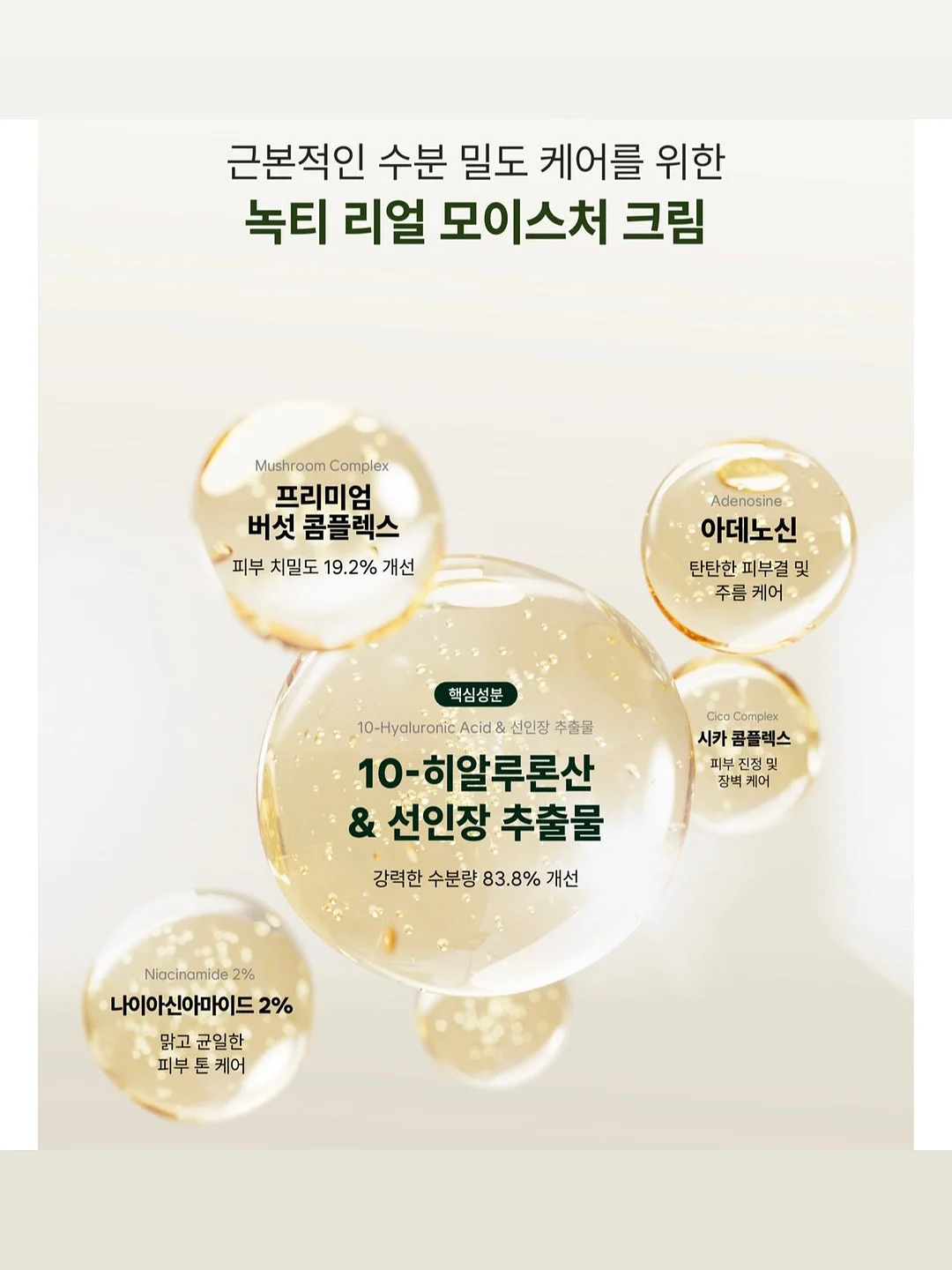 코토리 베이지 염색 16
