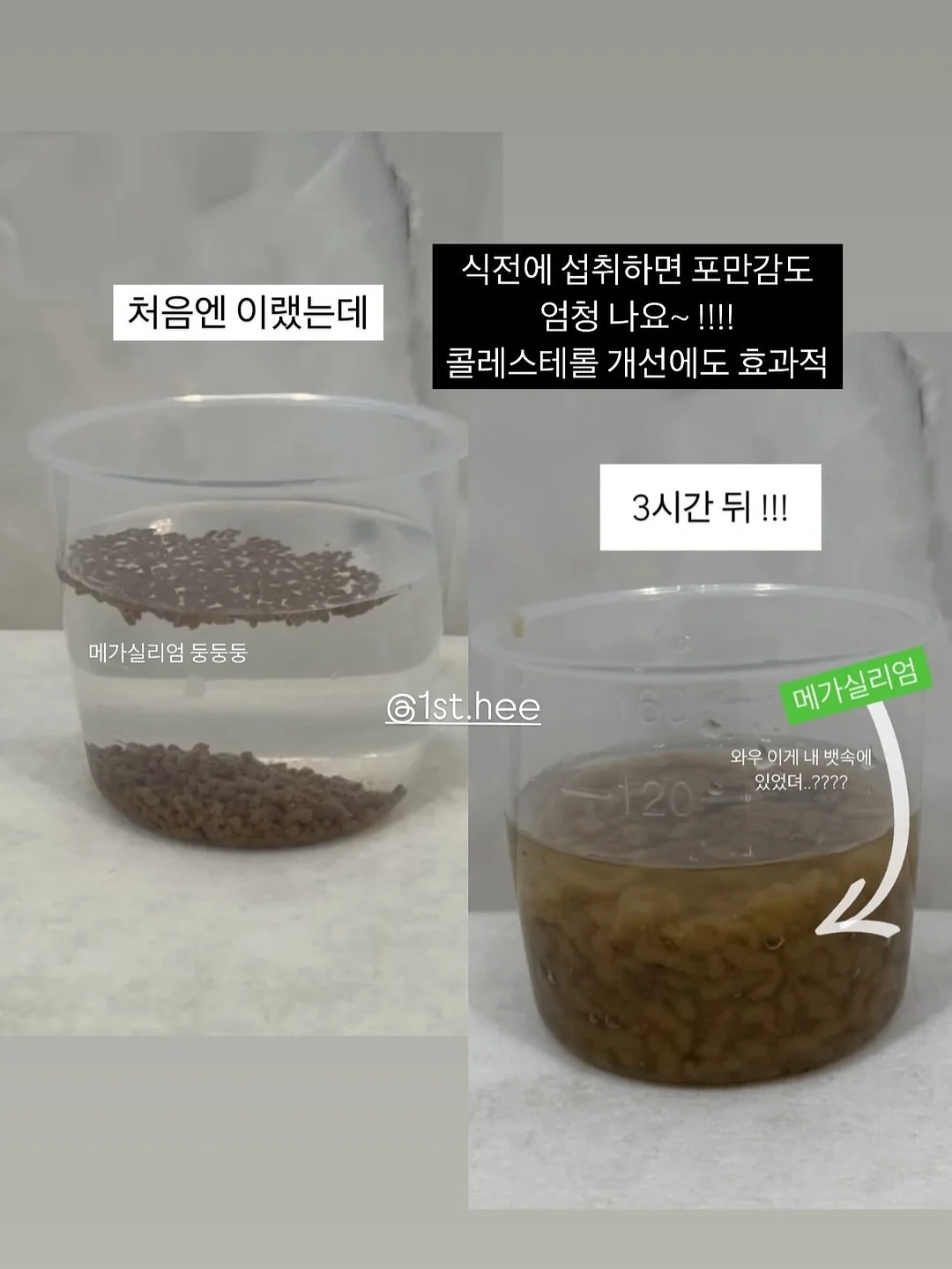 산전산후 임산부운동전문가 온라인과정 6