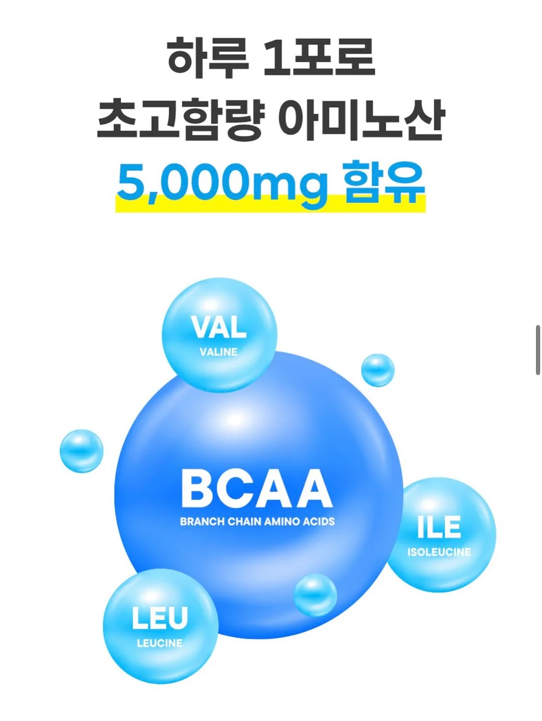 샌드펌 7