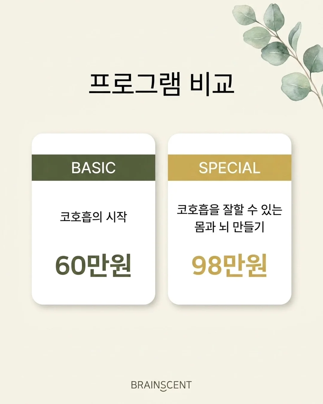 PMU 소속 아티스트 4