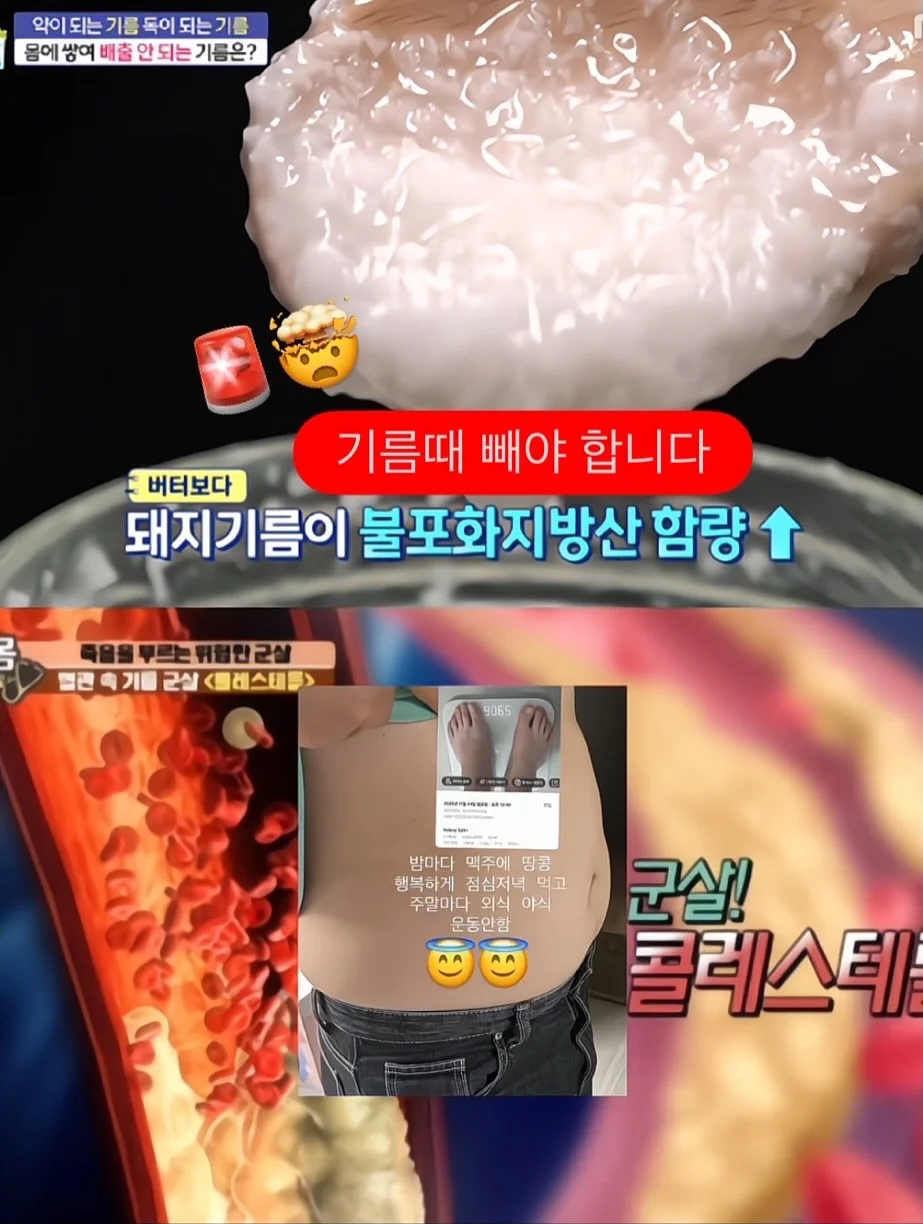 캐치캐치 자석젤 컬렉션 1