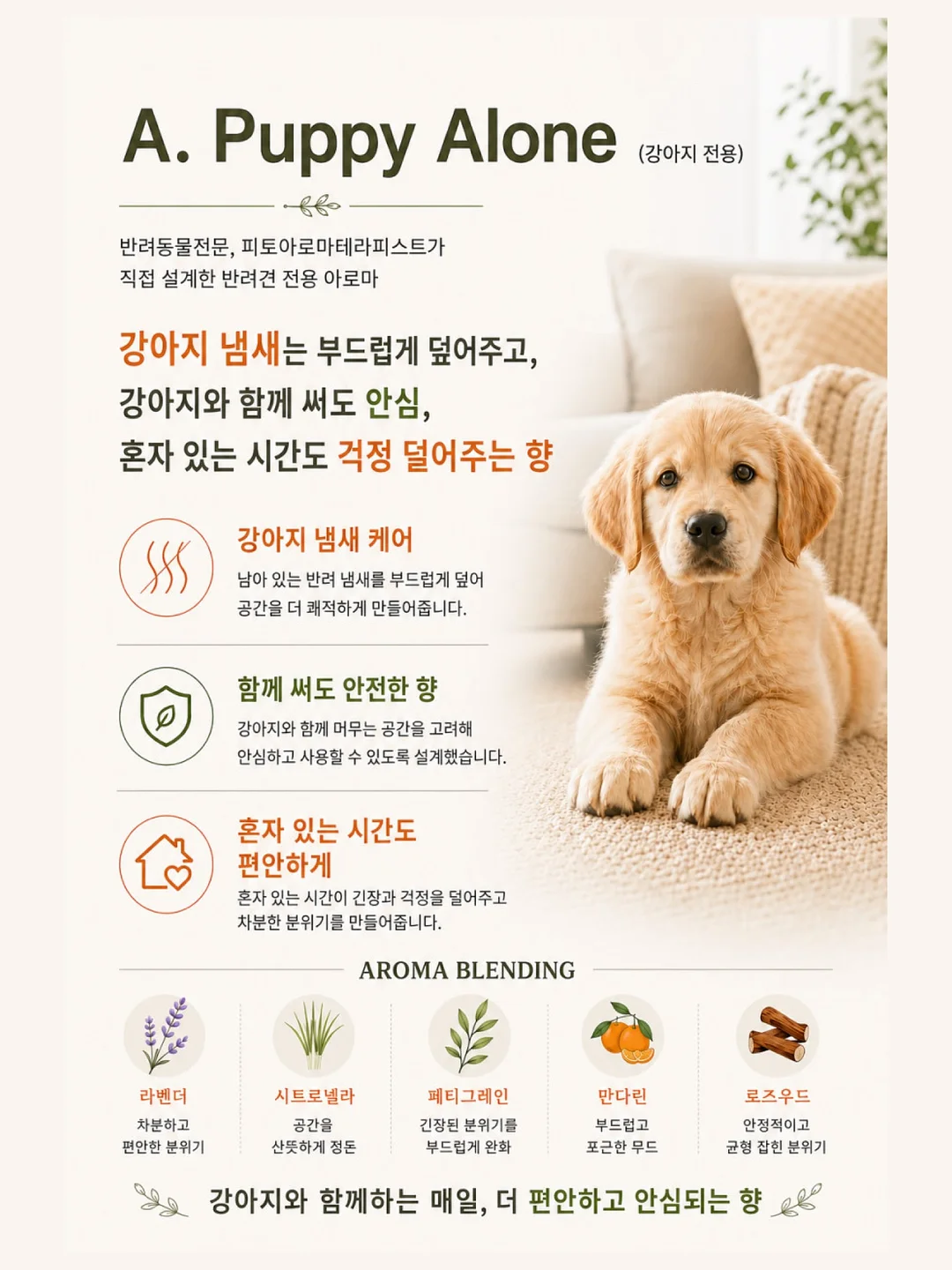 시밀러룩 13