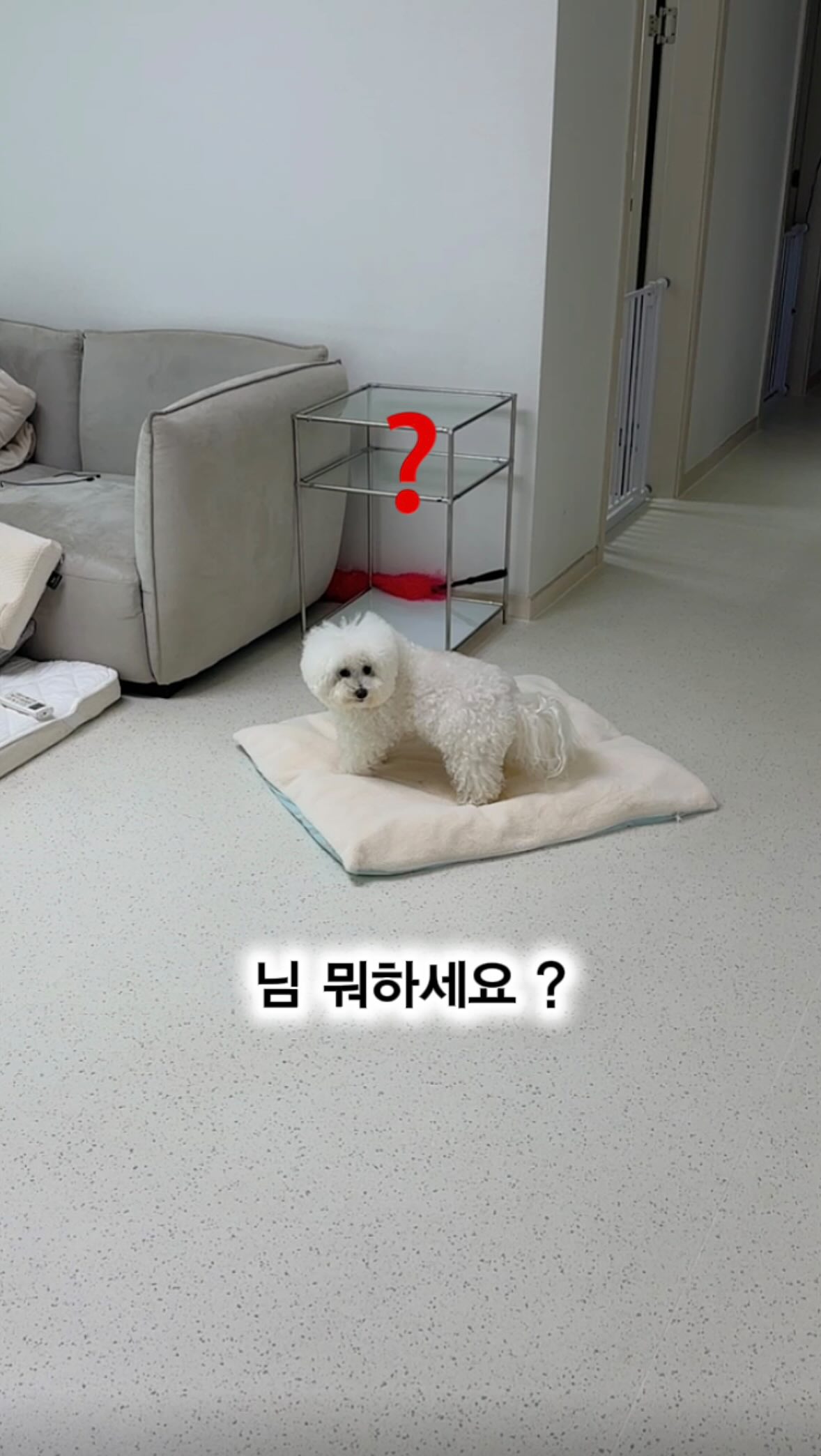 솔라에스