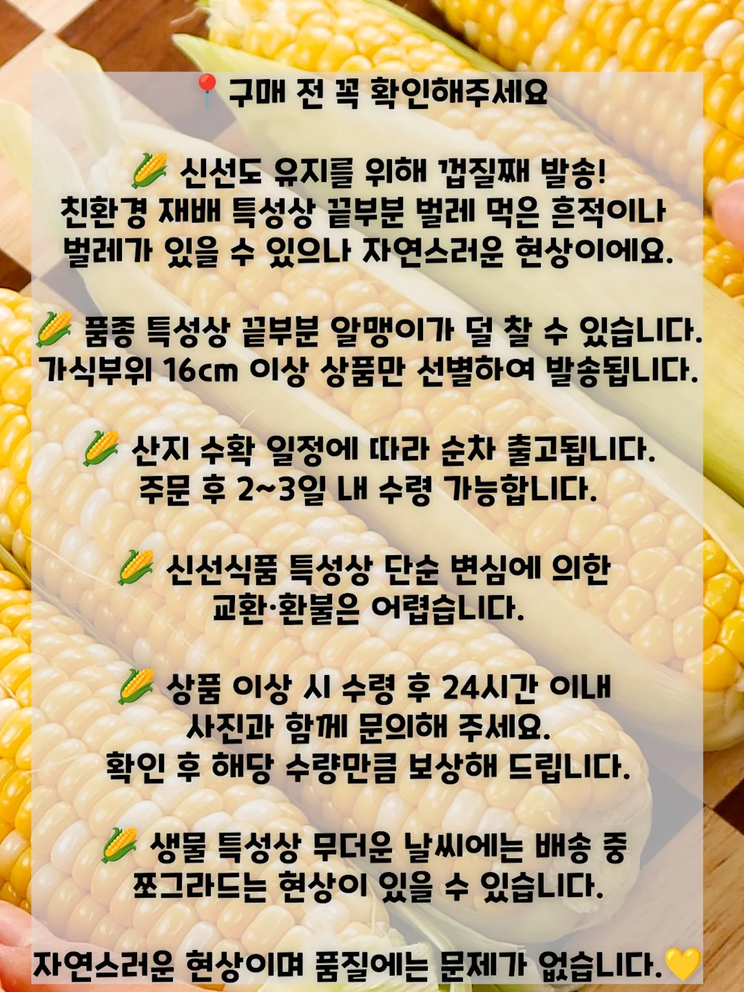 딸기 시즌 베이글 7