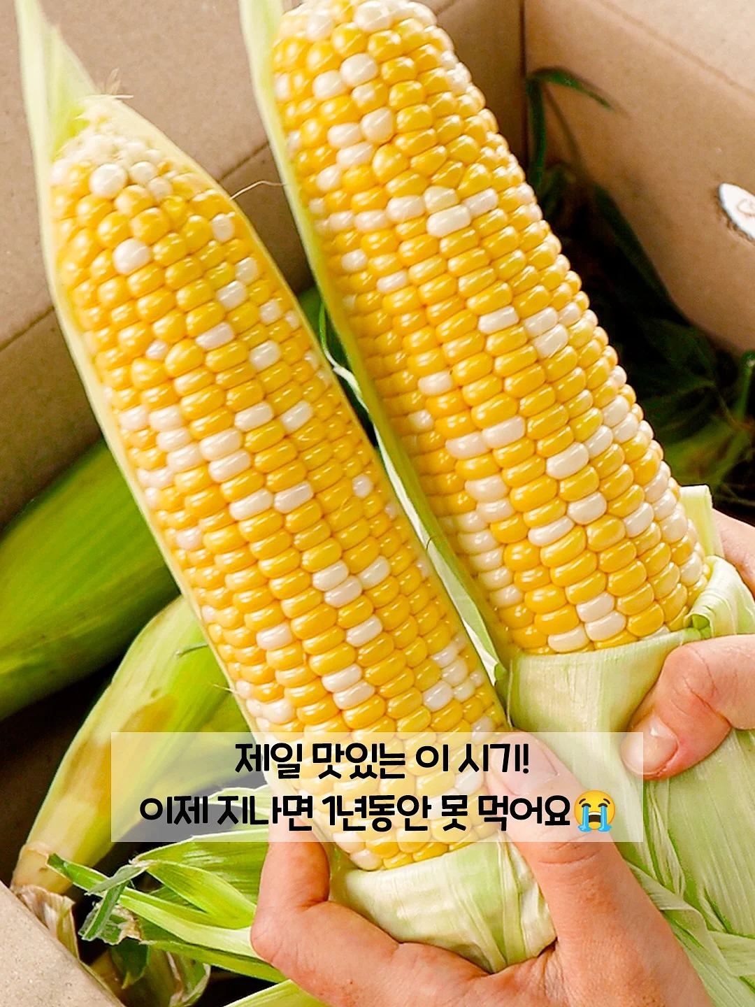 딸기 시즌 베이글 8