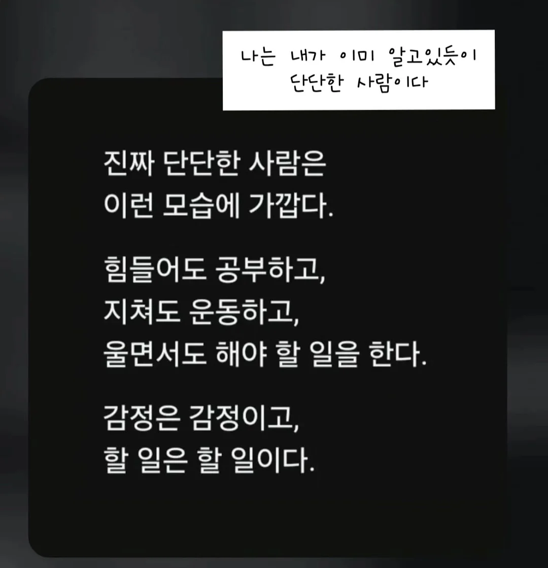 전동 허니콤 탑다운 블라인드 8