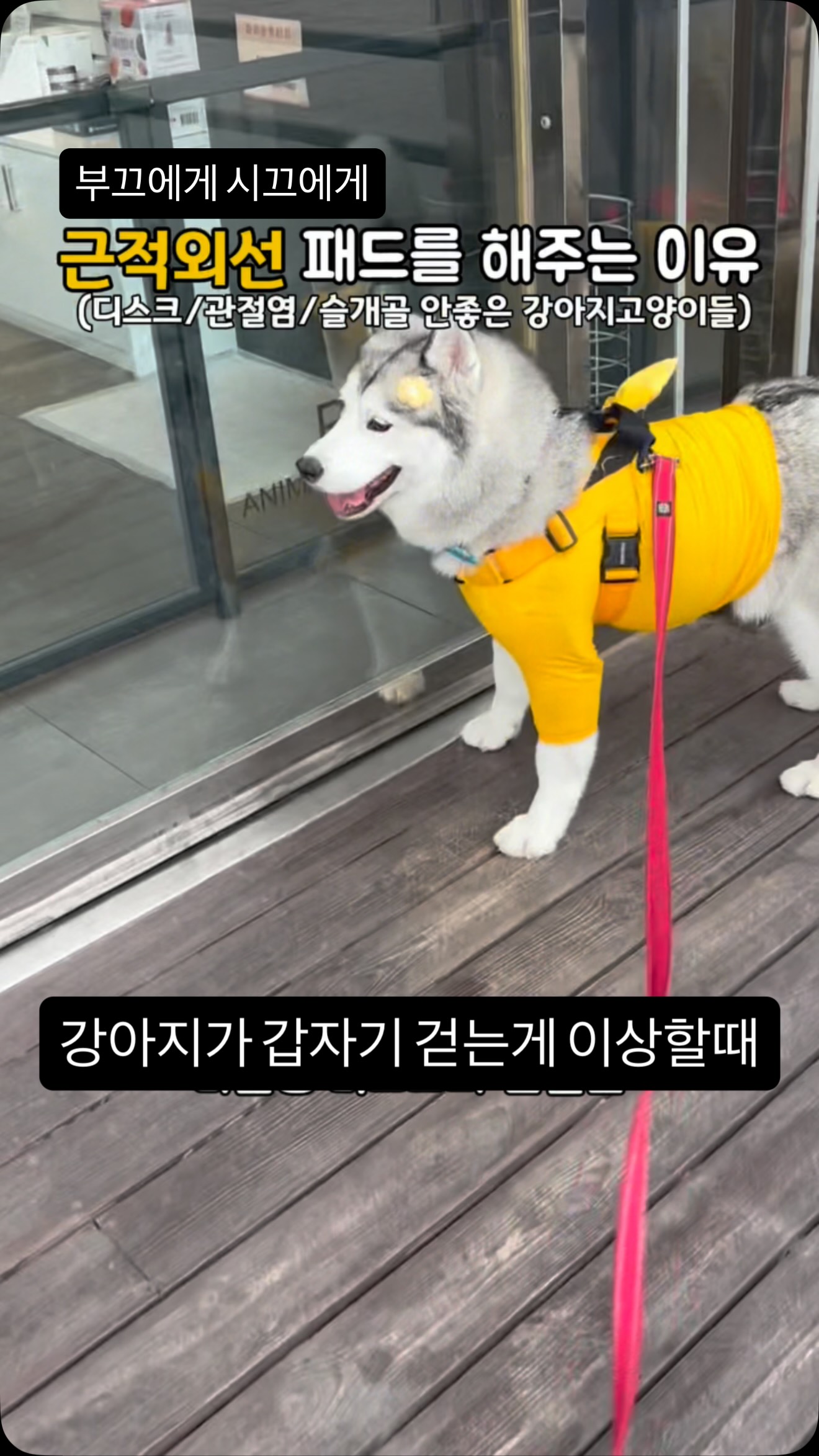 다용도 의자