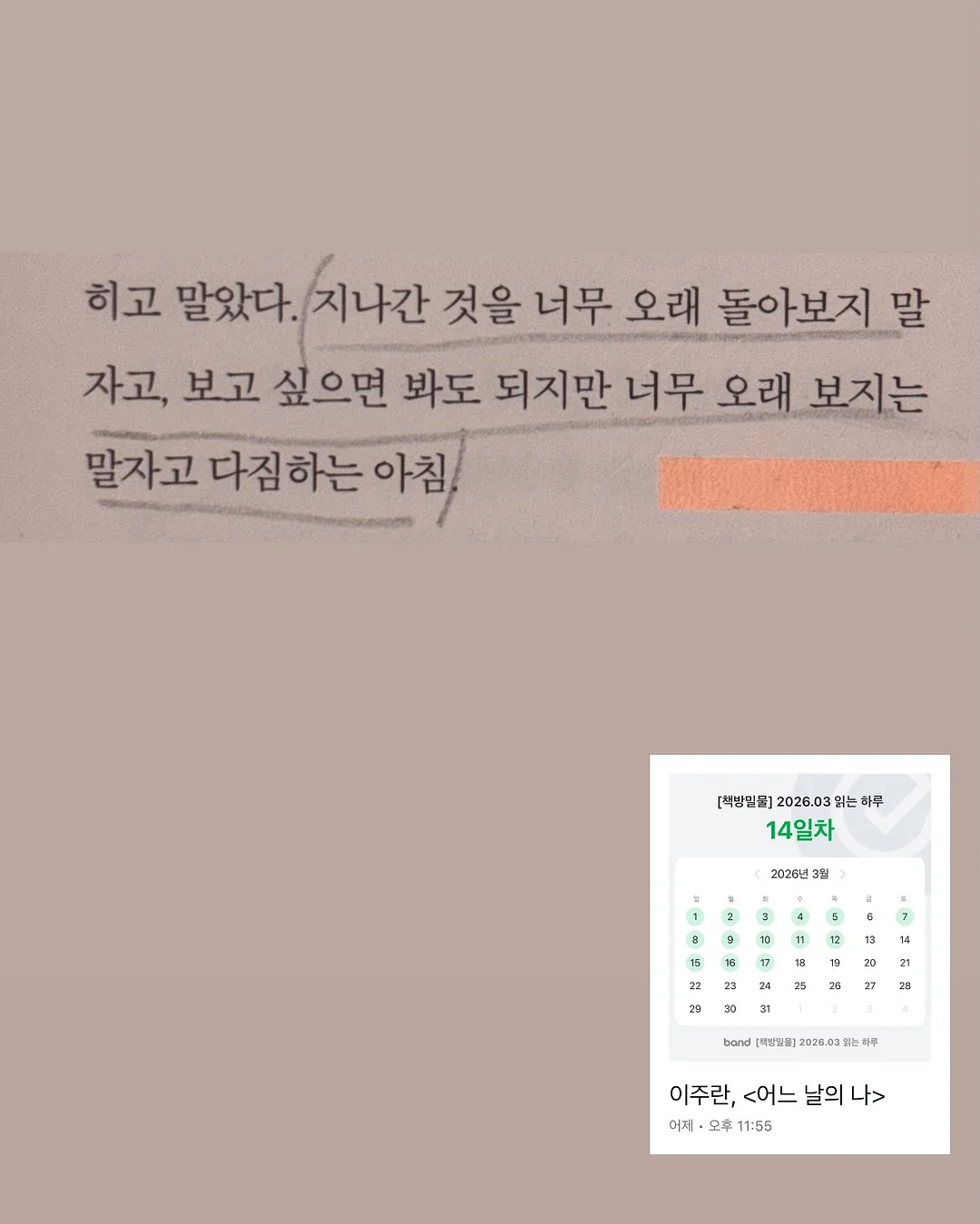꼬돌미역 4