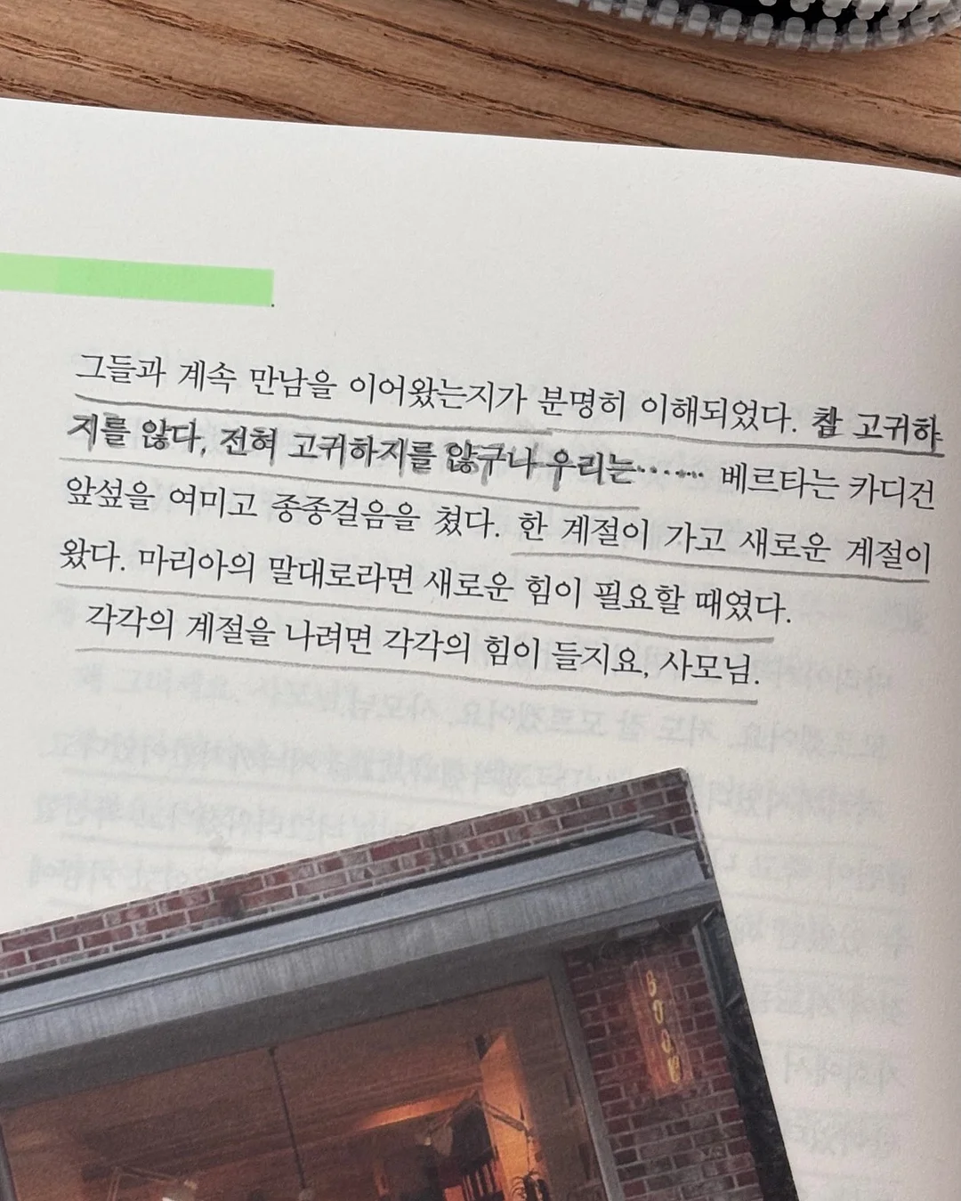 꼬돌미역 7