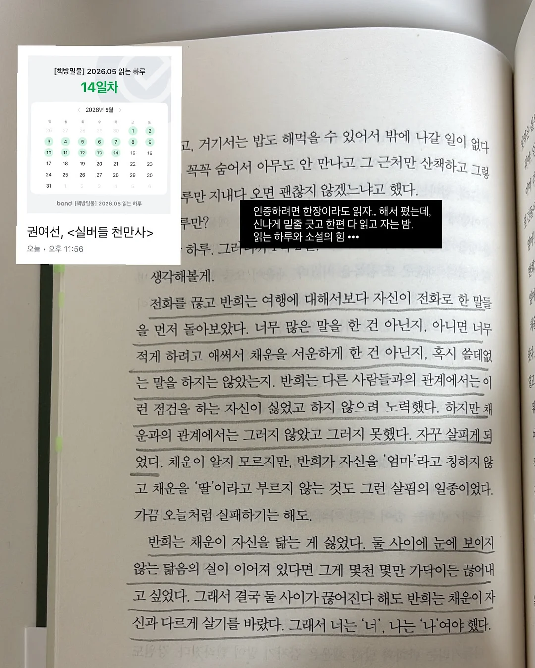꼬돌미역 9