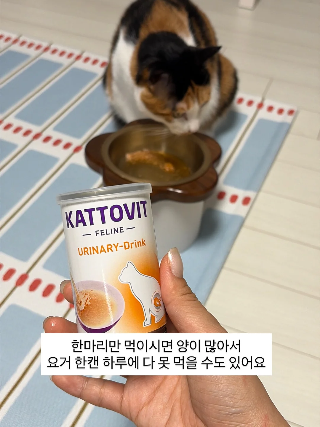 돌심플 + 캐주얼 3