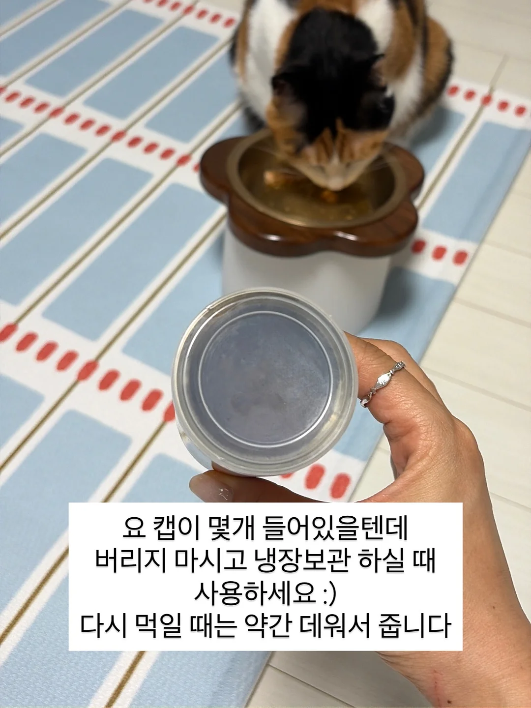 돌심플 + 캐주얼 4
