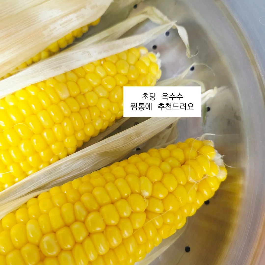 할미야옹세트 1