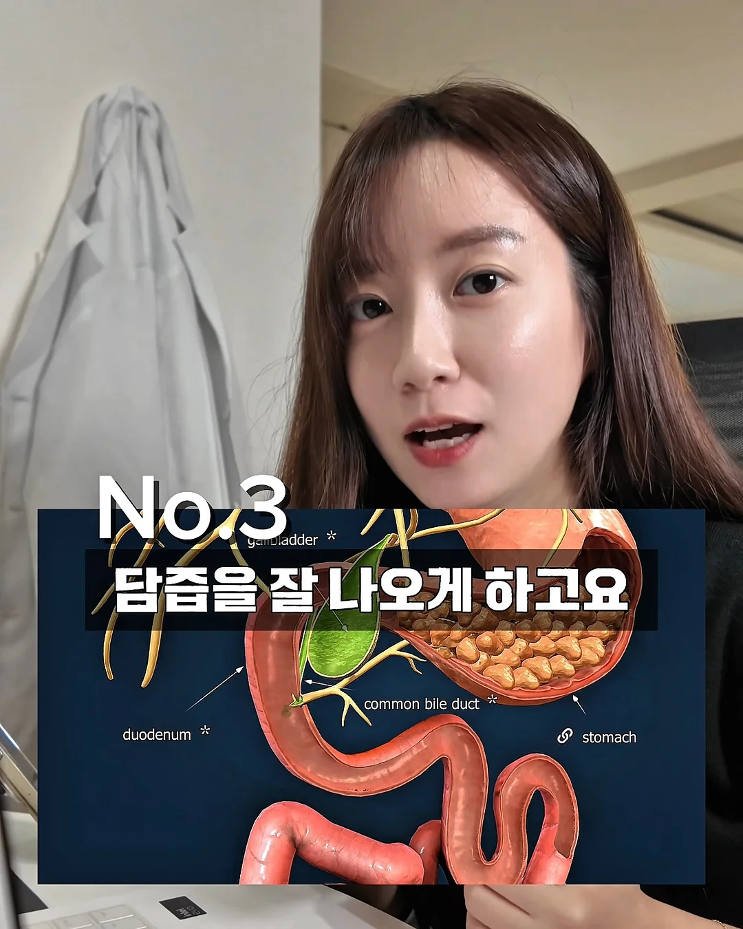 브라이텍스 키드픽스 프로 주니어 카시트 4