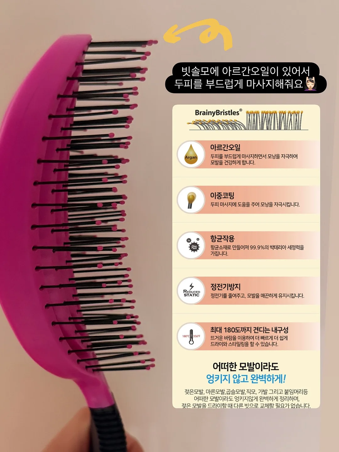 달나 비치가운 6