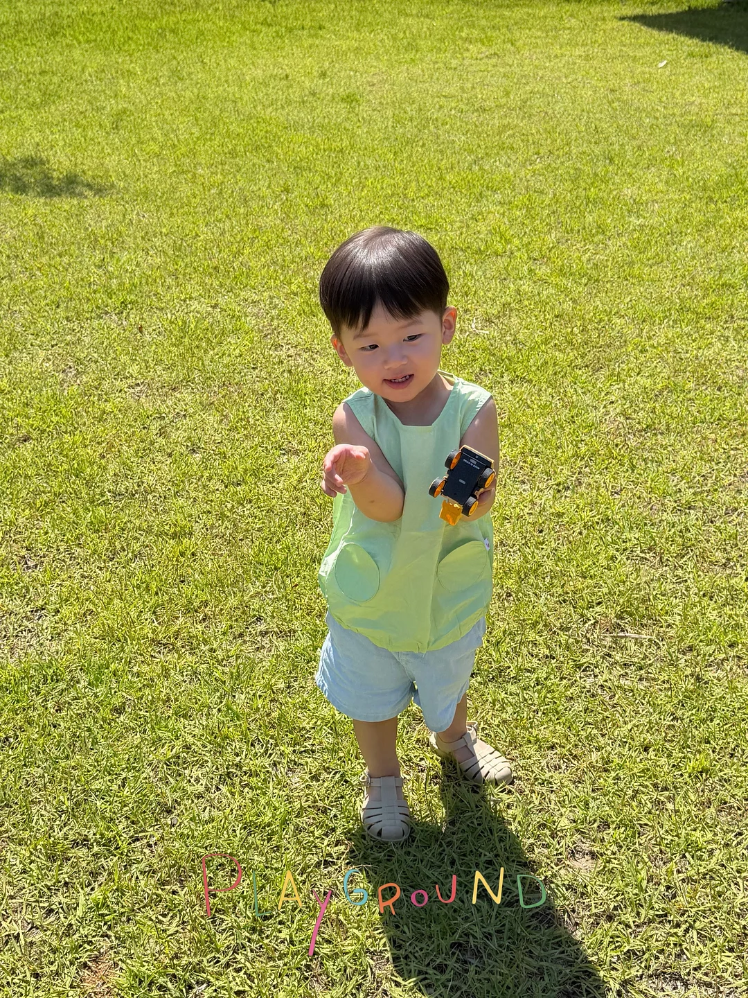 블루베리 1