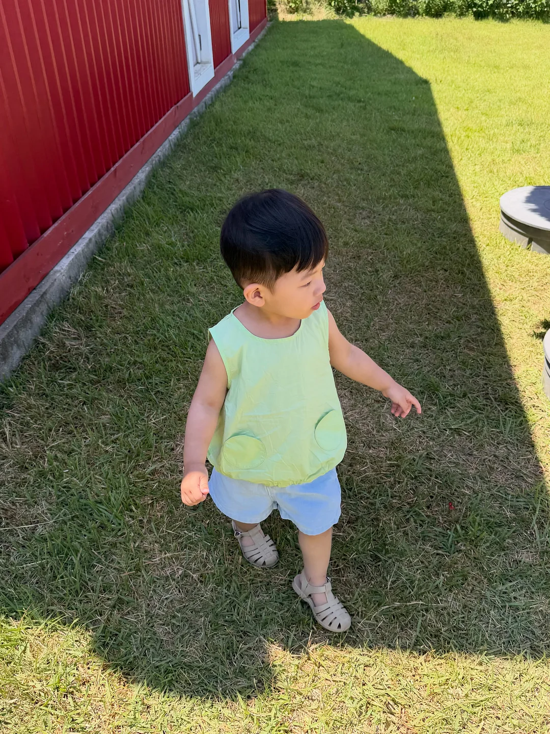 블루베리 11