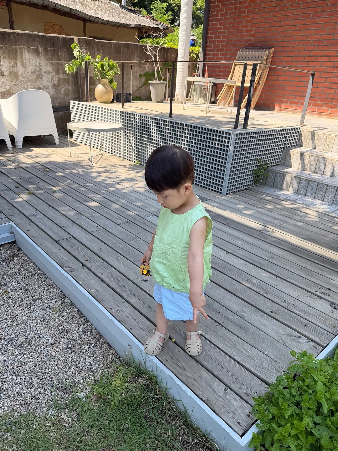 블루베리 4