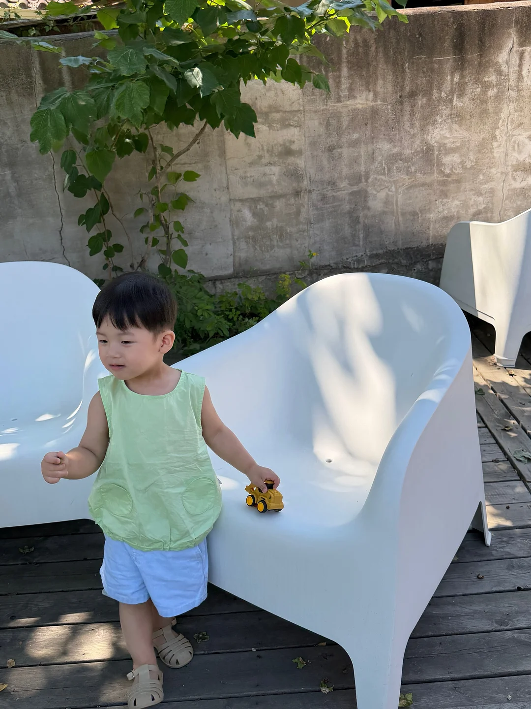블루베리 5