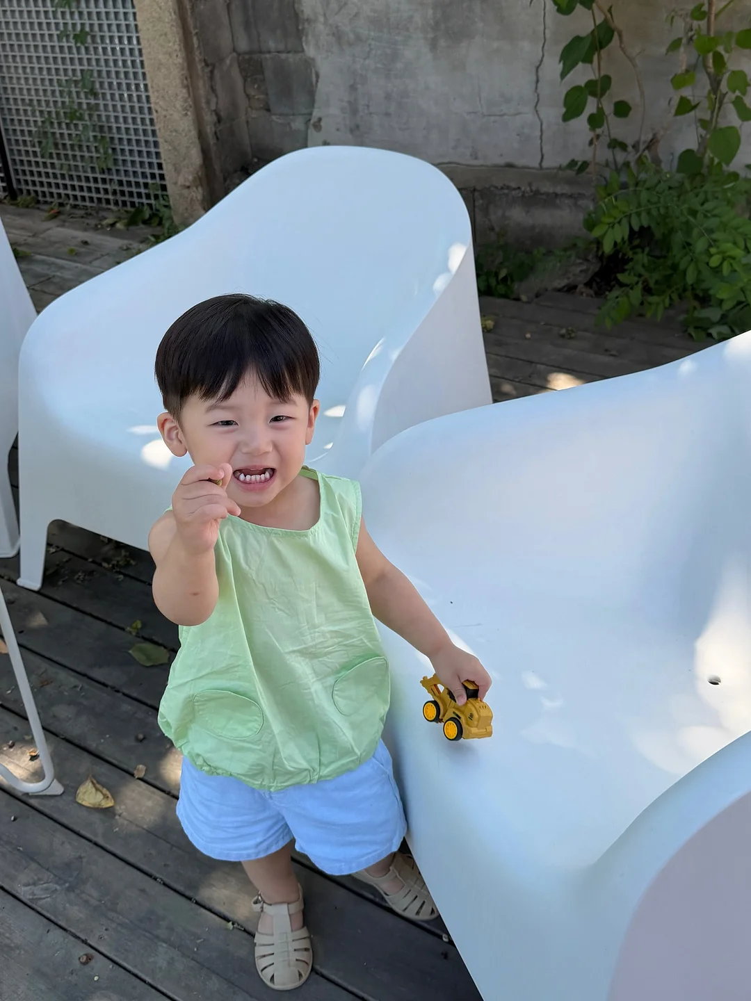 블루베리 6