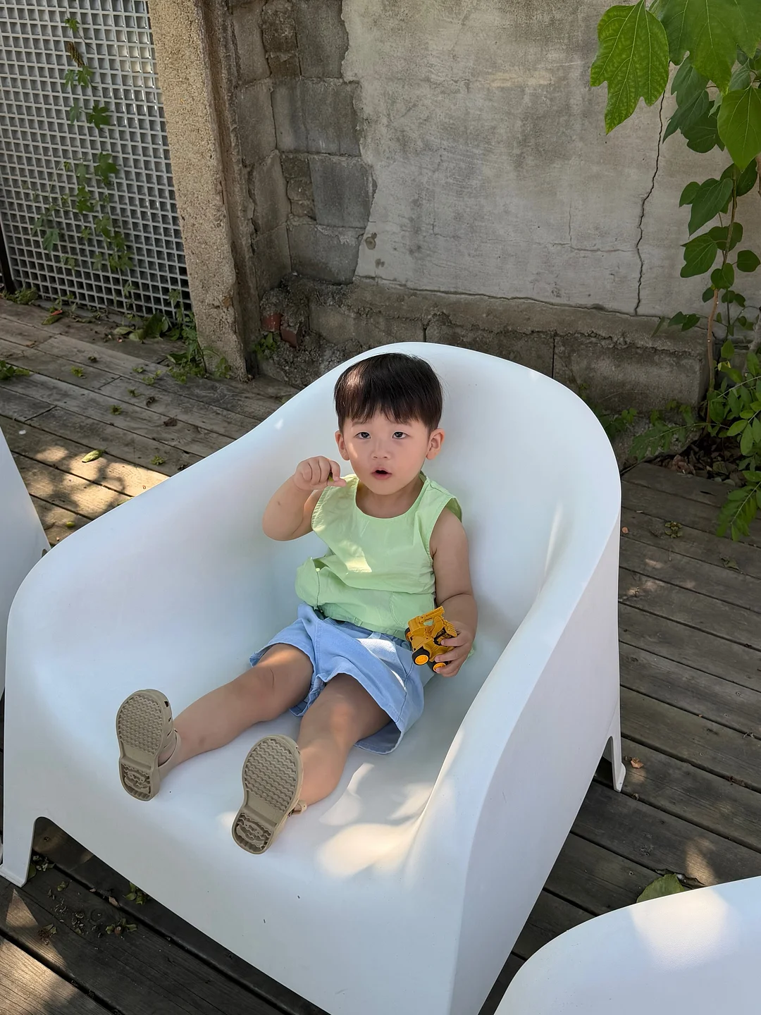 블루베리 7