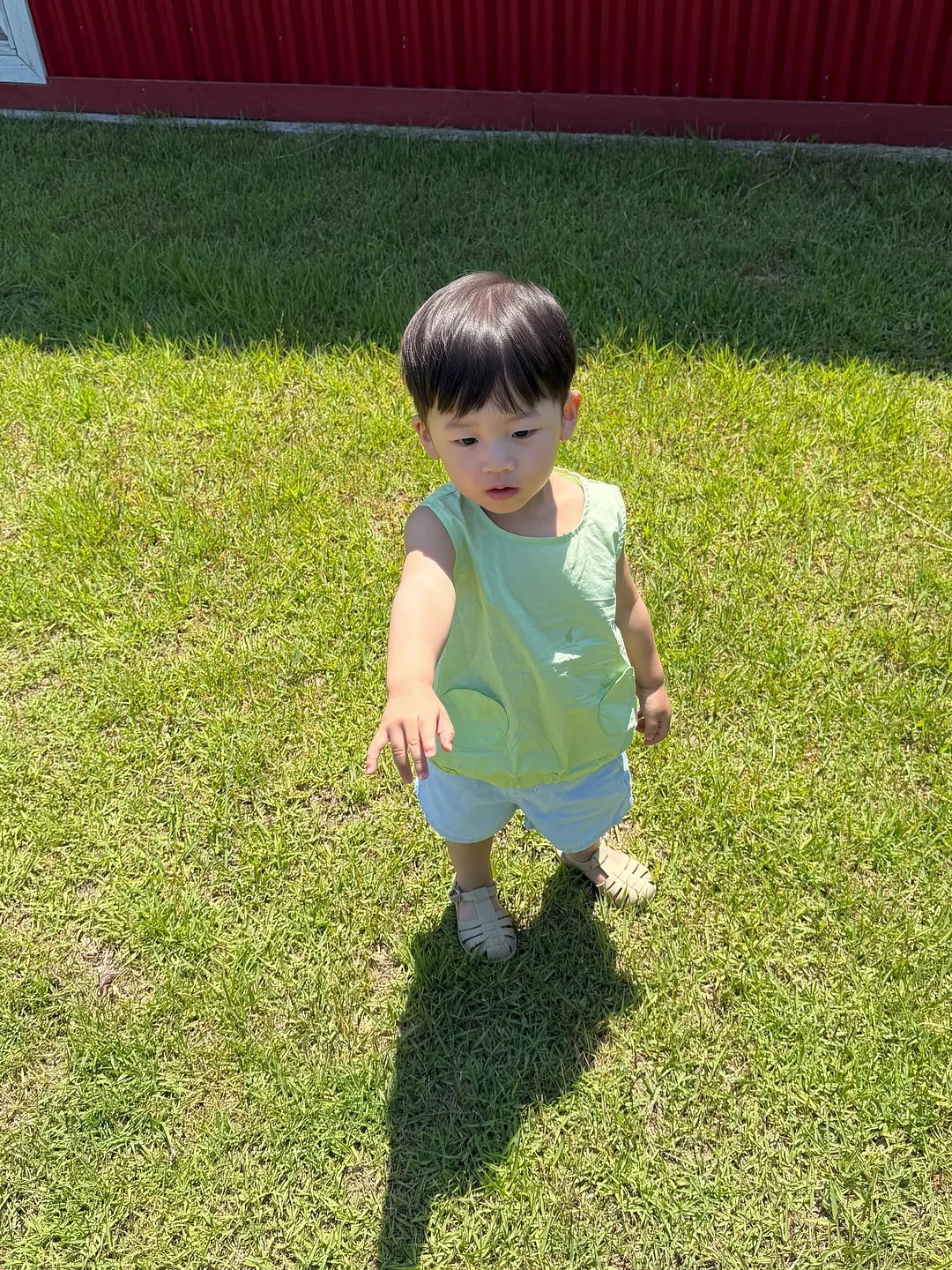 블루베리 8