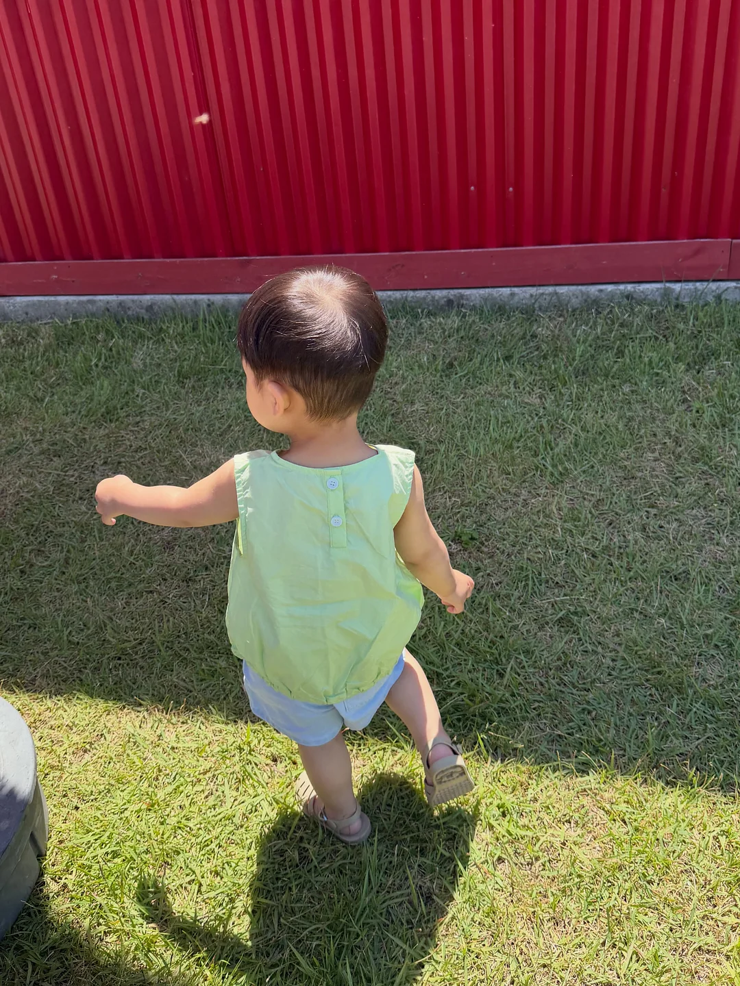블루베리 10