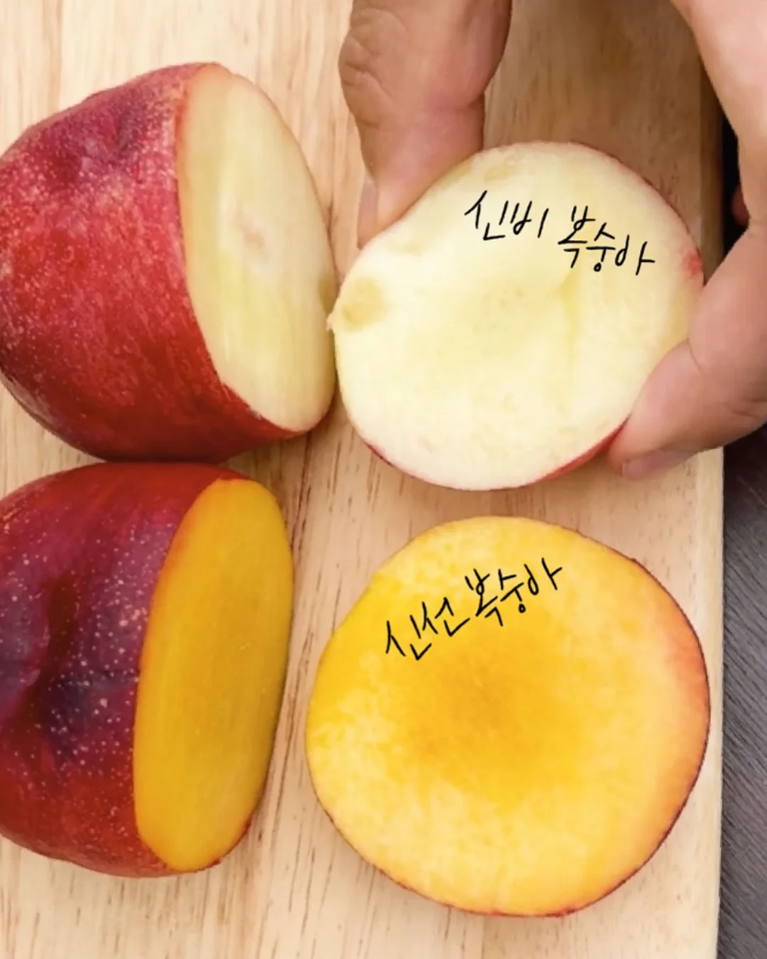 구단별 프레임 3