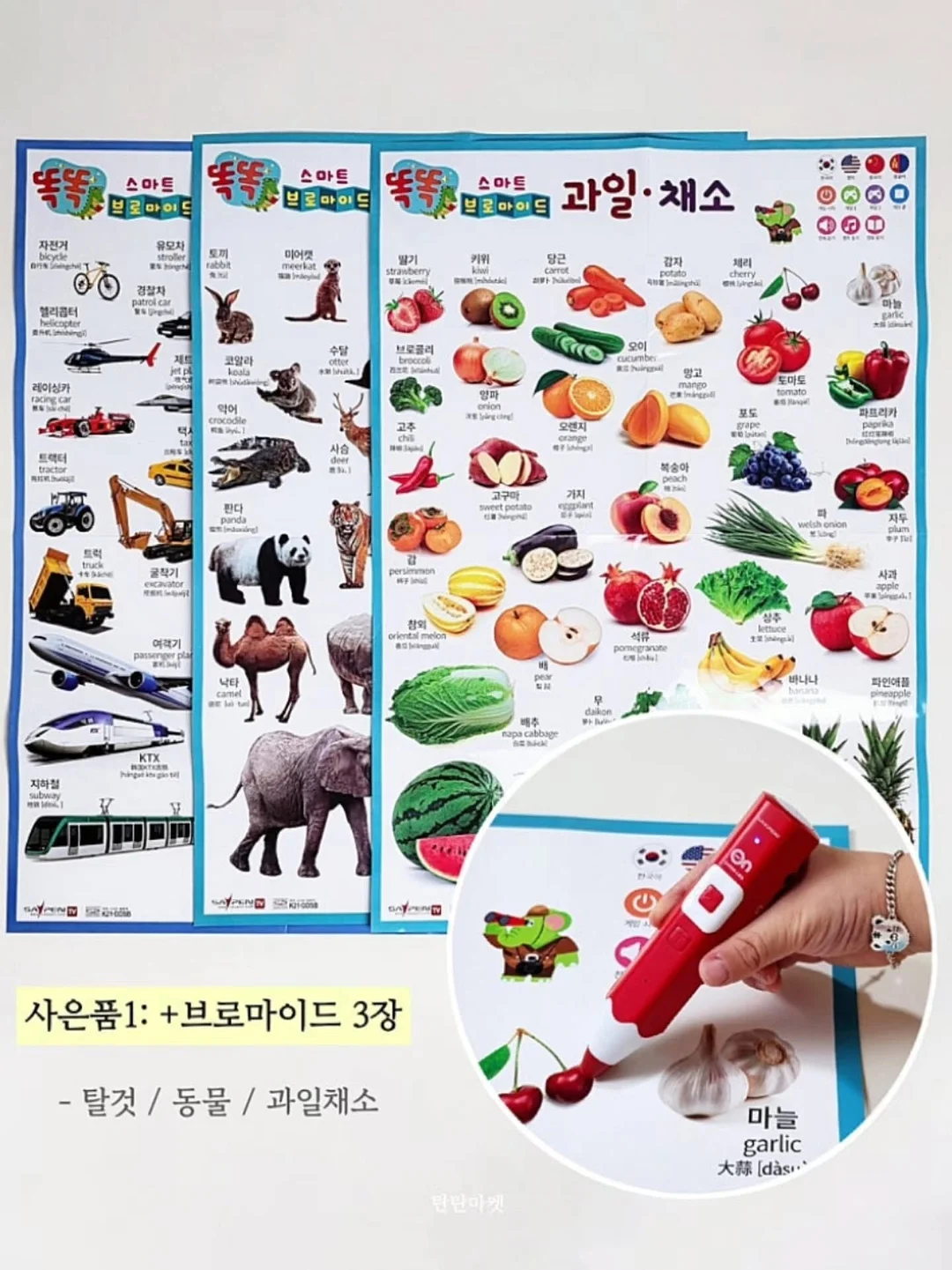 샐러드 레시피 북 6