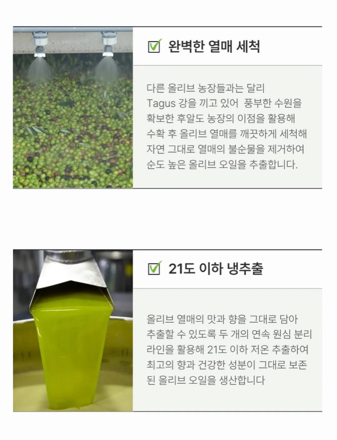 폴로 치프키프 빅포니 카라티 12